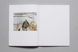 felix hess design and photography zurich ux visual branding designer