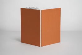  felix hess design and photography zurich ux visual branding designer