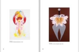  felix hess design and photography zurich ux visual branding designer